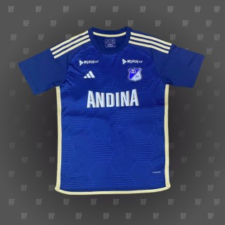 Hoffenheim 24-25