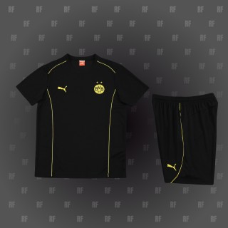 Borussia Dortmund 24-25