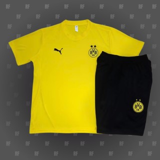 Borussia Dortmund 24-25